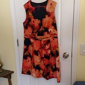 Enfocus Women Floral Dress